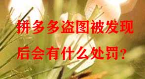 拼多多盜圖被發(fā)現(xiàn)后會有什么處罰